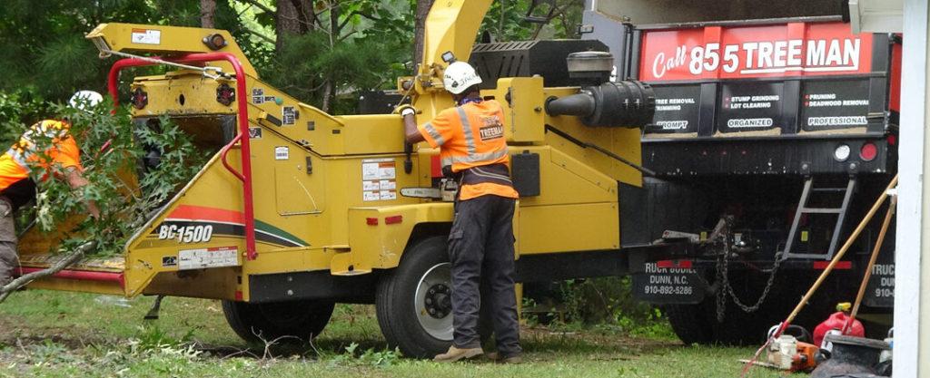 Best Tree Service Near me