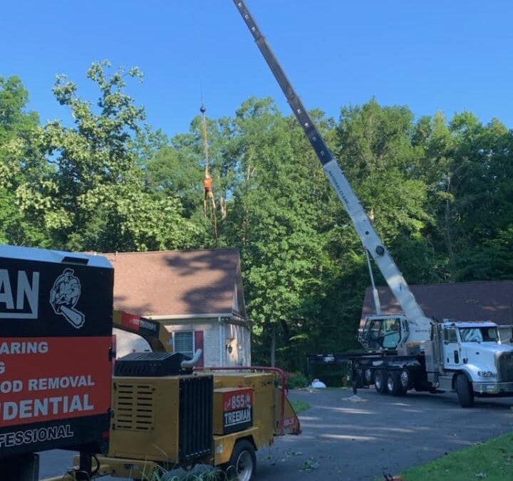 293587562_3300265973543119_7089554723445815918_n