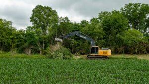 855TREEMAN-Tree Removal-Featured Photo
